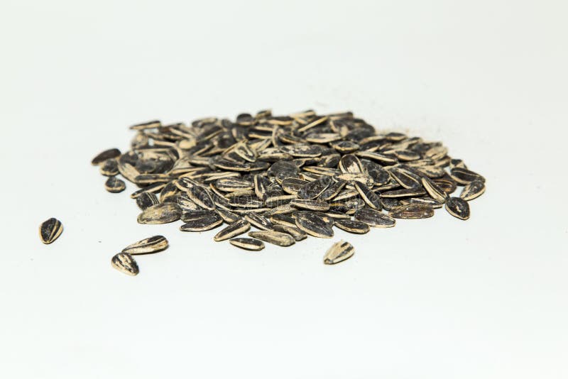 Roasted and Salted Sunflower Seeds Stock Photo Image of energy