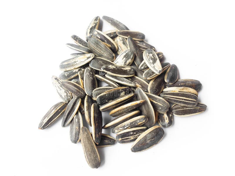 Sunflower seeds stock photo. Image of kernel, nature 72776532