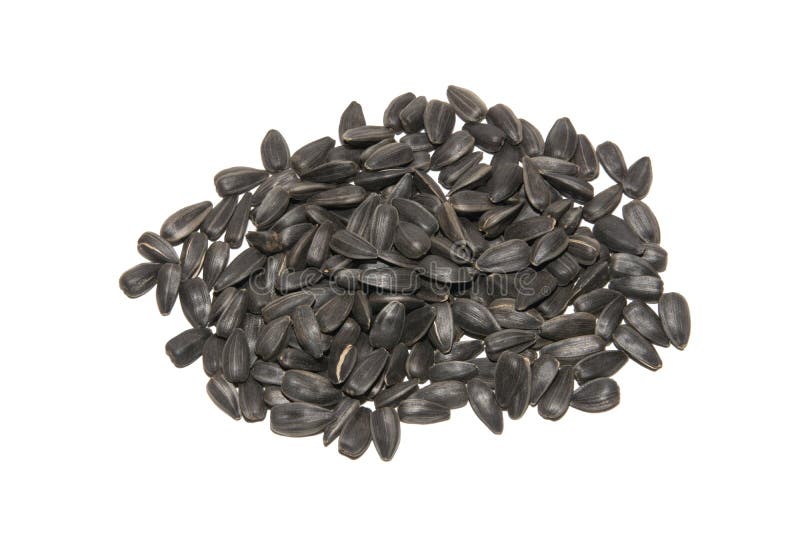 Sunflower Seed. Open Sunflower Seeds. Isolated on White Background