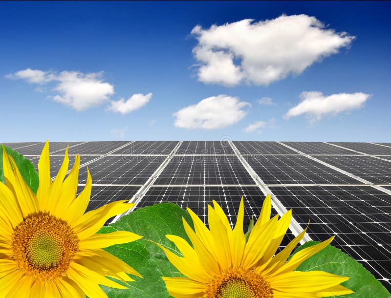Sunflower and solar panel stock image. Image of cells 21318859