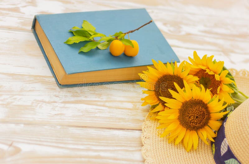 Sunflower, straw hat, book and yellow plum on table. Beautiful flowers of sunflower, straw hat, book and yellow plum on white shabby wooden table