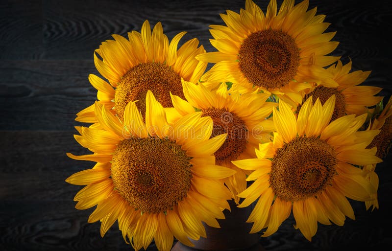 Sunflower in a vase on the table