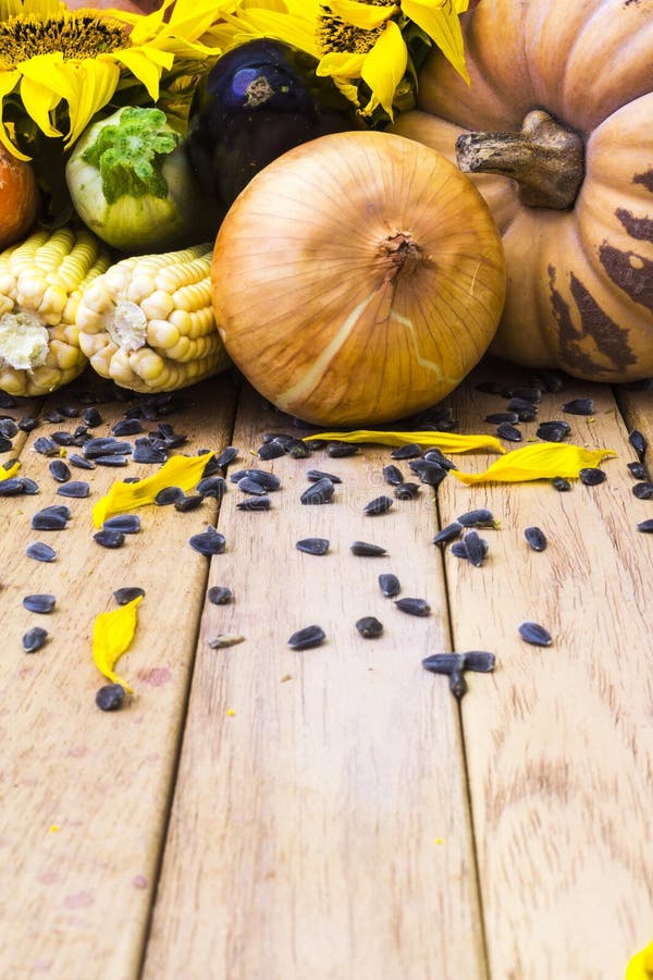 Sunflower and vegetables stock photo. Image of summer 42647756