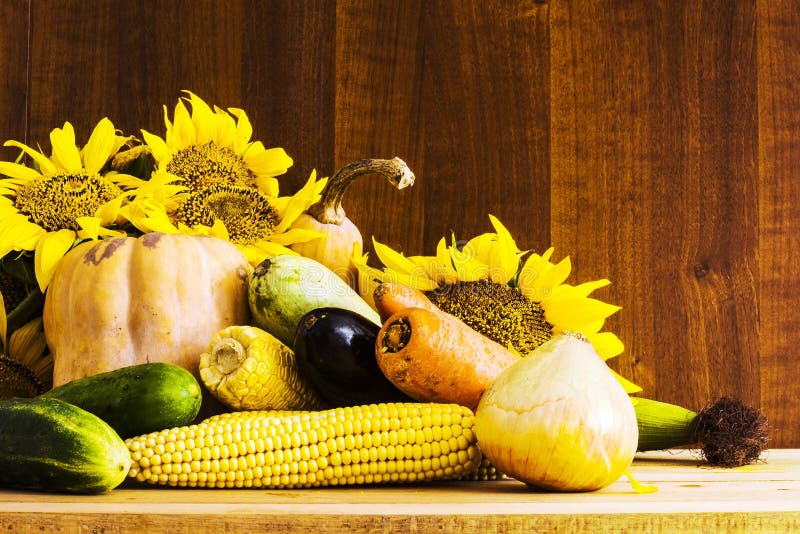 Sunflower and vegetables stock photo. Image of food, eating 42647760