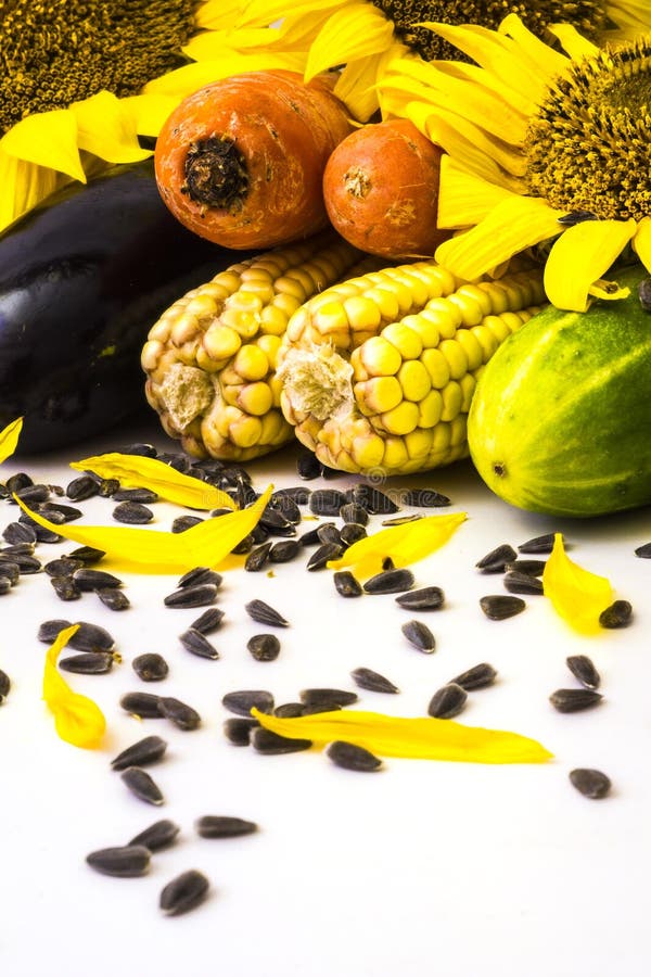 Sunflower and vegetables stock image. Image of abundance 42647773