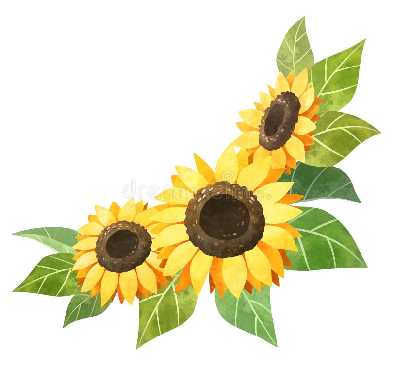 Free Free Free Clipart Sunflowers SVG PNG EPS DXF File