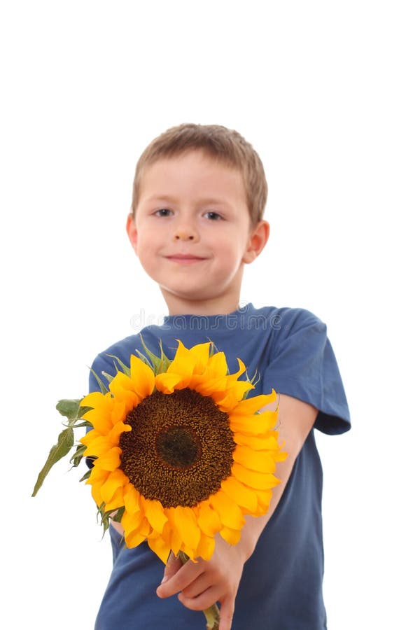 Sunflower for you