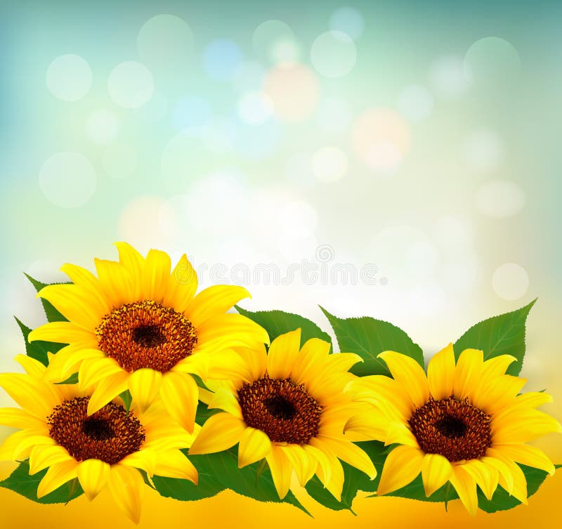 Sunflowers background stock vector. Illustration of repeating 31602068