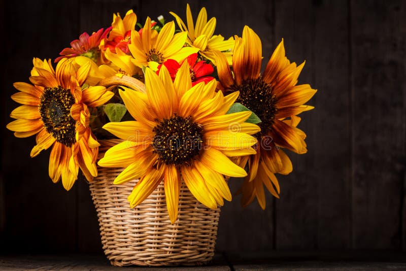 Sunflowers in basket stock photo. Image of rustick, nature 33831940