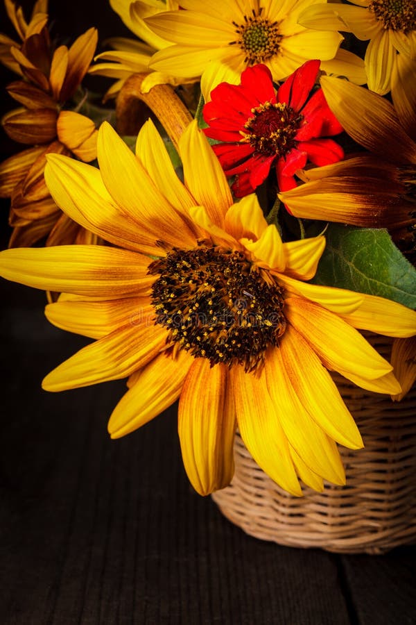 Sunflowers in basket stock photo. Image of rustick, table 33831948