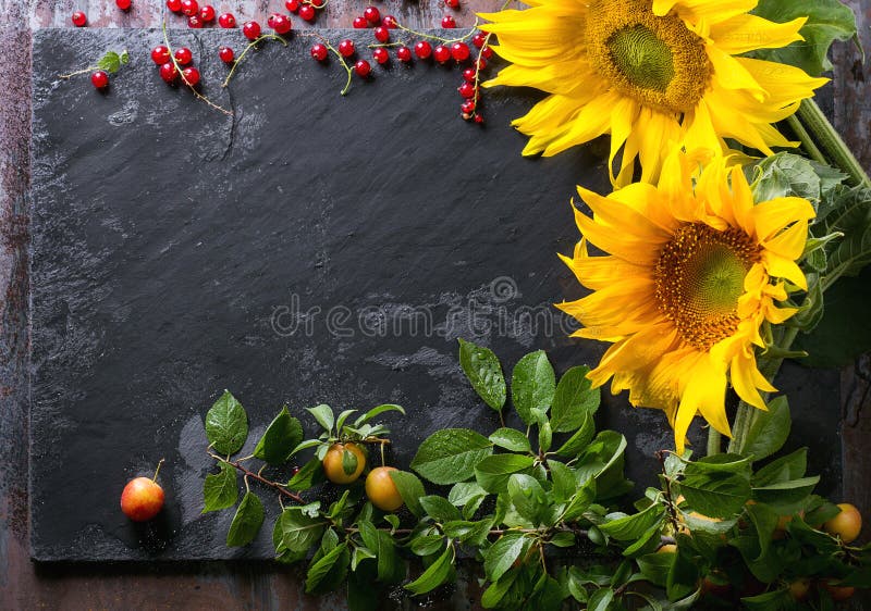 Sunflowers with berries