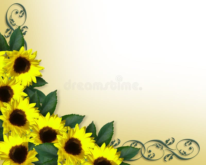 Sunflowers border yellow Spring