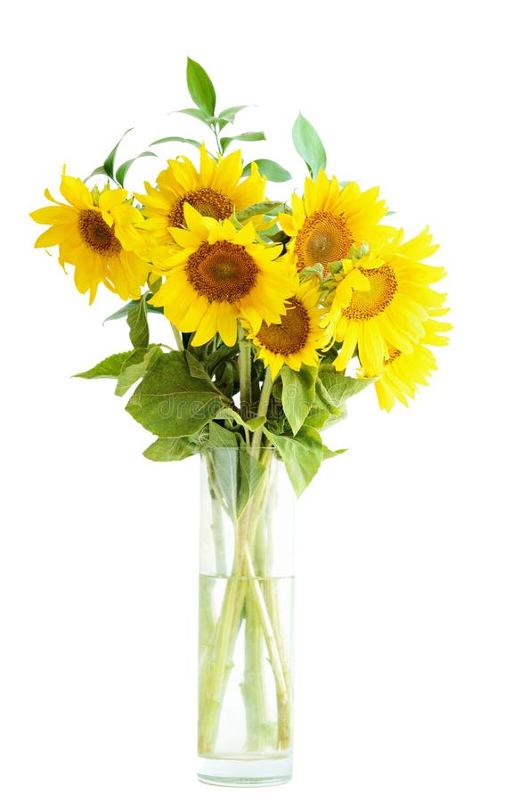 3,216 Sunflowers Vase Stock Photos - Free & Royalty-Free Stock Photos From  Dreamstime