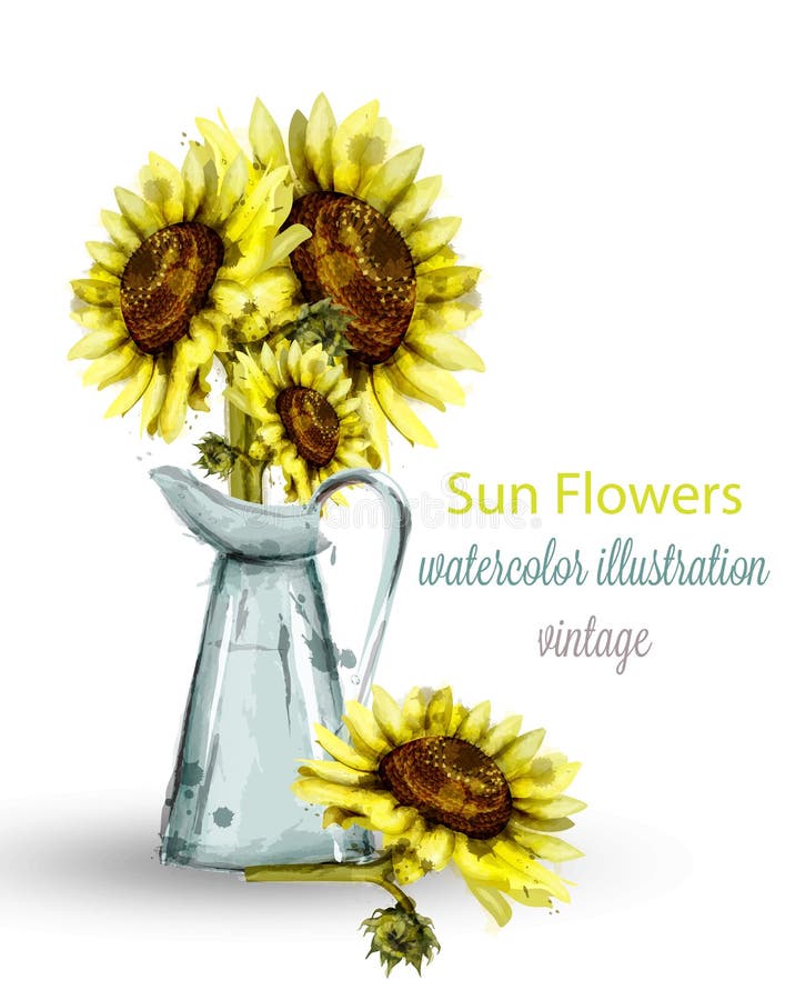 Sunflowers bouquet watercolor Vector. Floral spring decorations stock illustration Sunflowers bouquet watercolor Vector. Floral spring decorations stock illustration