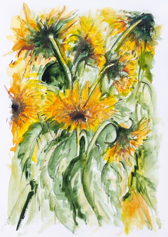 Sunflowers field