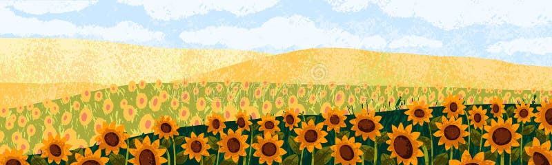 Sunflowers field, summer landscape background. Yellow sun flowers,nature panorama. Blooming agriculture land, floral