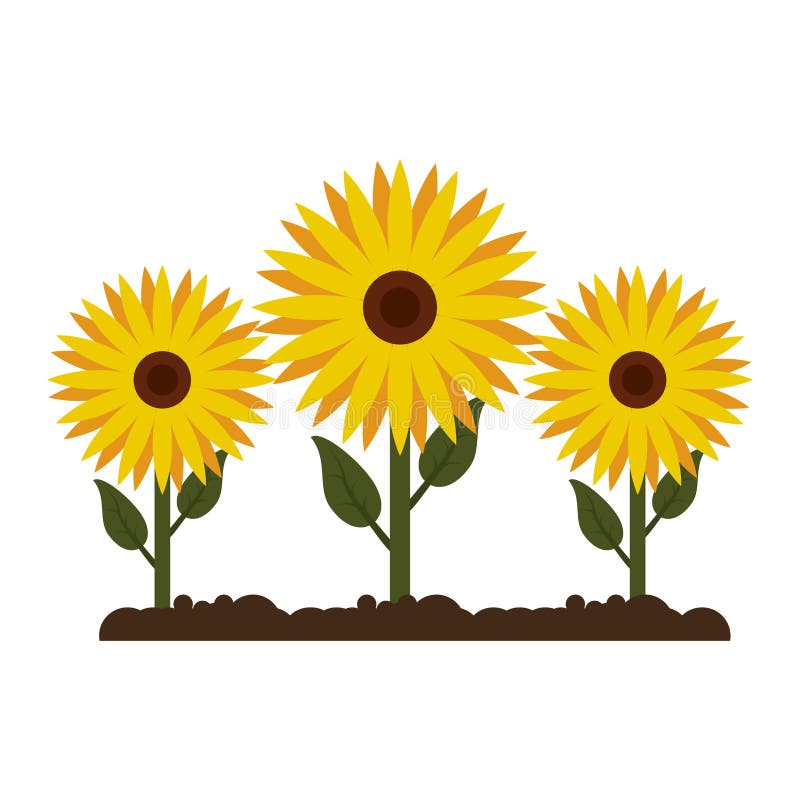 Sunflowers Gardening Cartoon Isolated Stock Vector - Illustration of  houseplant, home: 141285471
