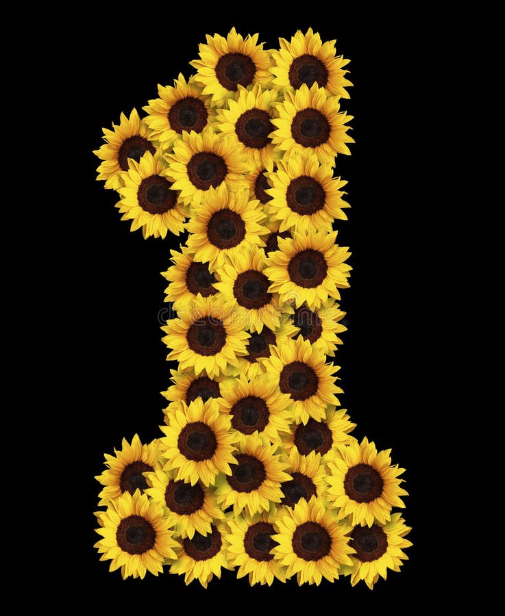 Sunflowers number 1