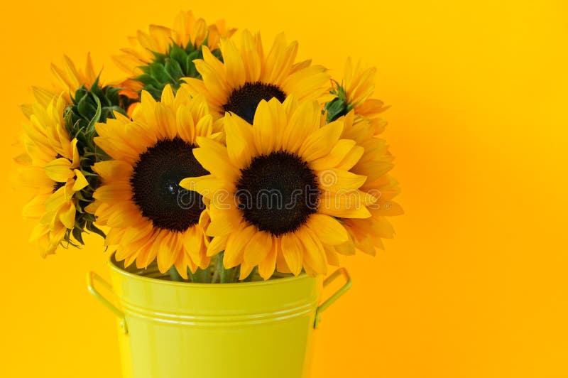 Sunflowers in vase