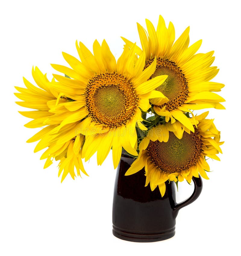 Sunflowers in a vase stock image. Image of flower, floral 32827917