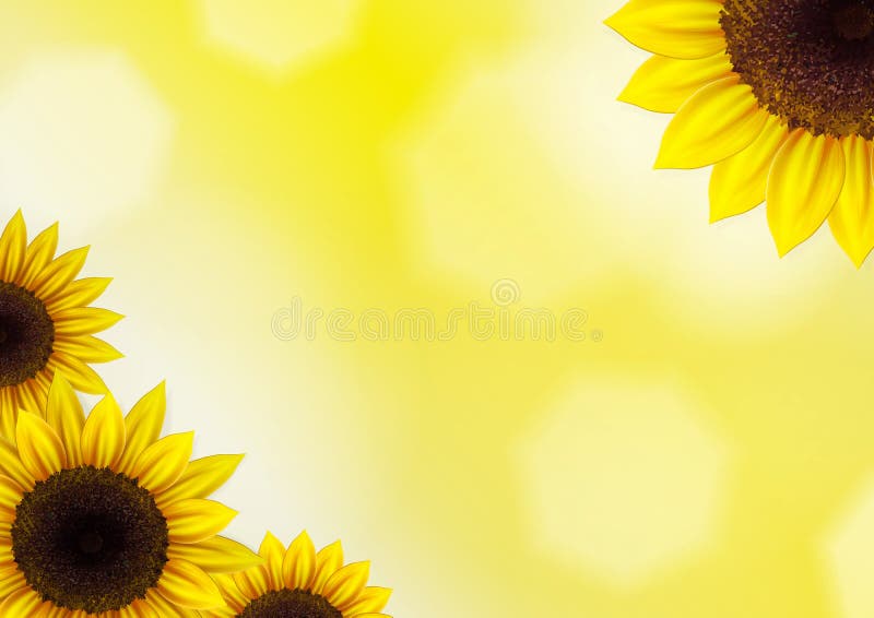 Sunflower Vector Background with Frame Stock Illustration - Illustration of  celebration, info: 56991025
