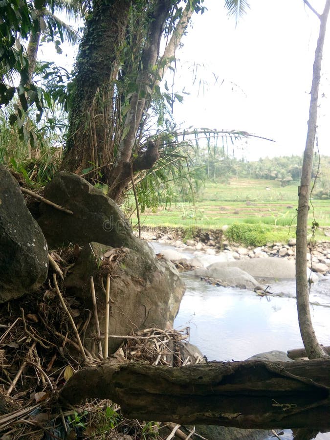 34++ Foto Pemandangan Alam Natural - Foto Pemandangan HD