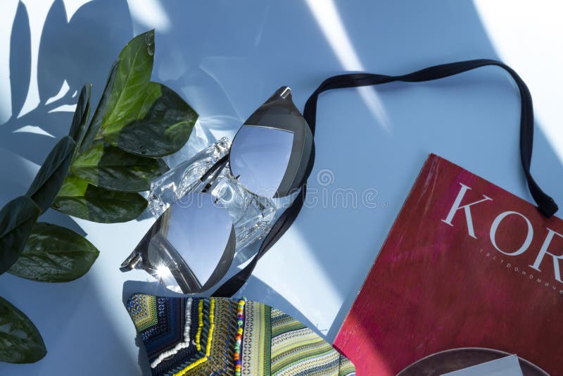 Sunglasses on a Blue Background and a Green Plant with Large Leaves
