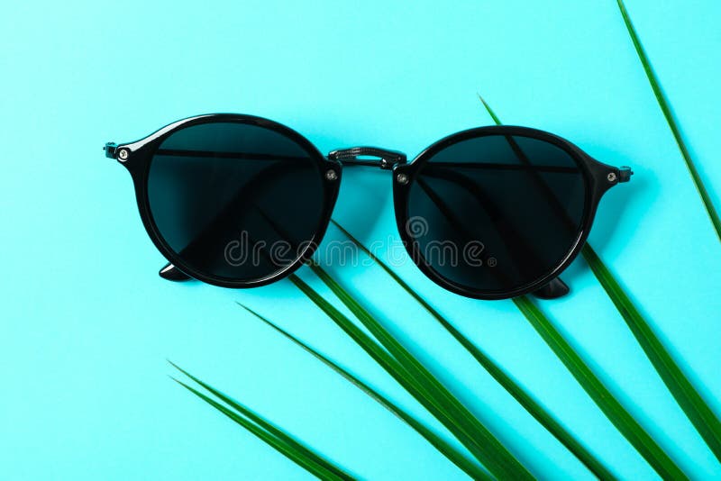 Sunglasses with Palm Leaf on Color Background, Closeup and Space for