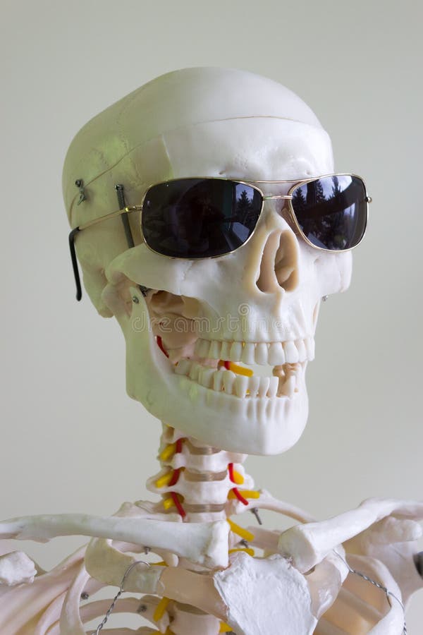 Sunglasses skull stock image. Image of face, cool, fashion - 36302021