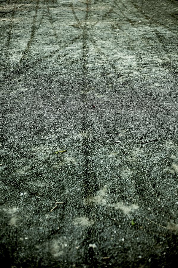 235 Tyndall Effect Stock Photos Free & RoyaltyFree Stock Photos from