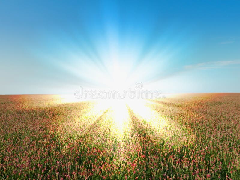 Sunlight rural landscape