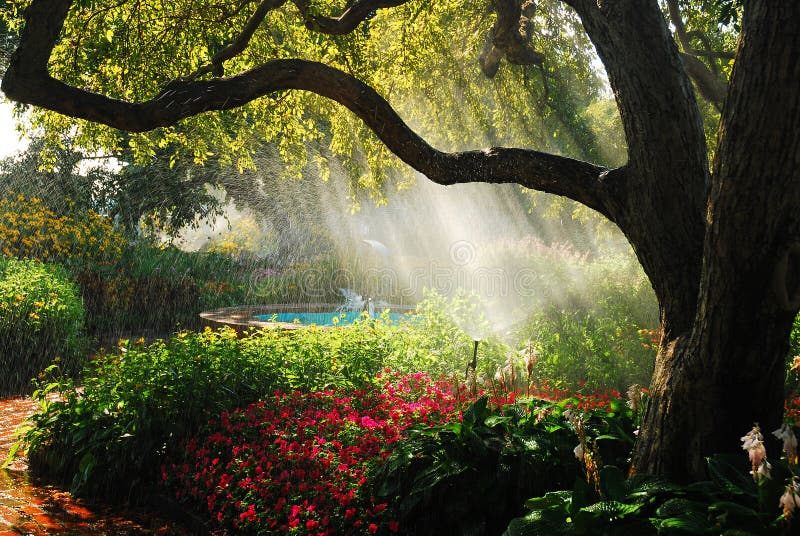 Lush Garden with fountain stock photo. Image of colorful 1523688