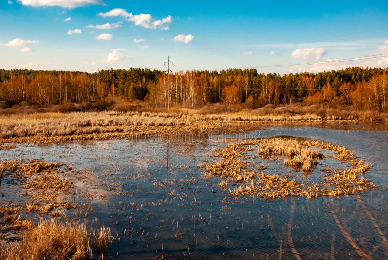 A Sunny April Day in Samarskaya Luka National Park! Stock Photo - Image ...