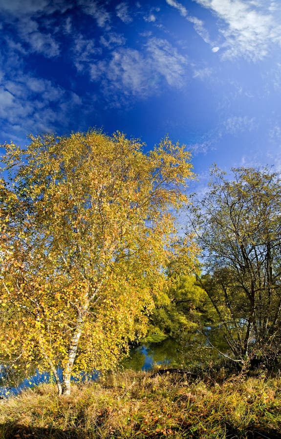 Sunny Autumn Day Stock Image Image Of Autumn Panorama 18266575