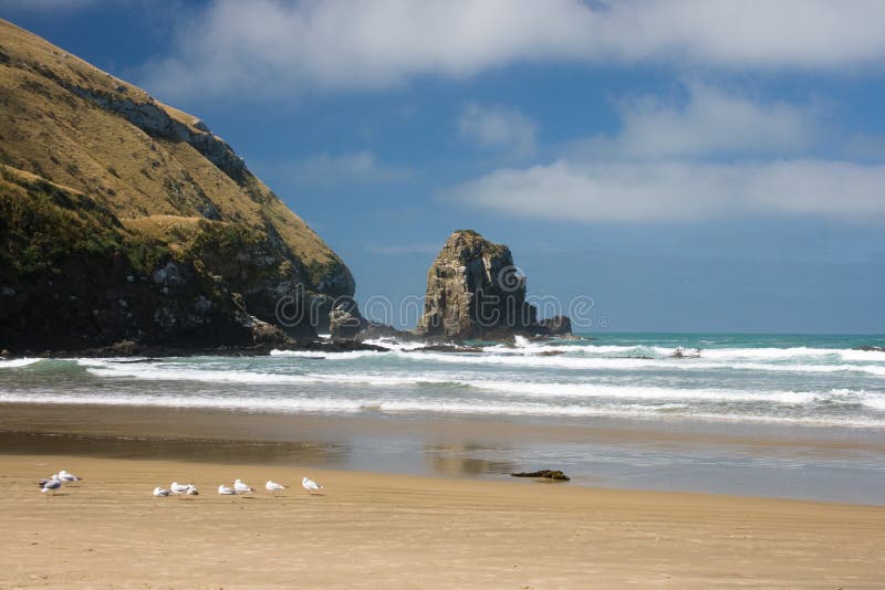 Sunny beach royalty free stock photos