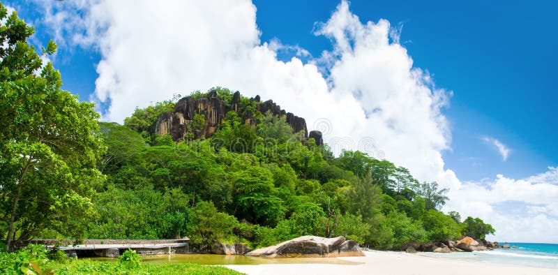 Sunny Beach. Black rock in green forest.