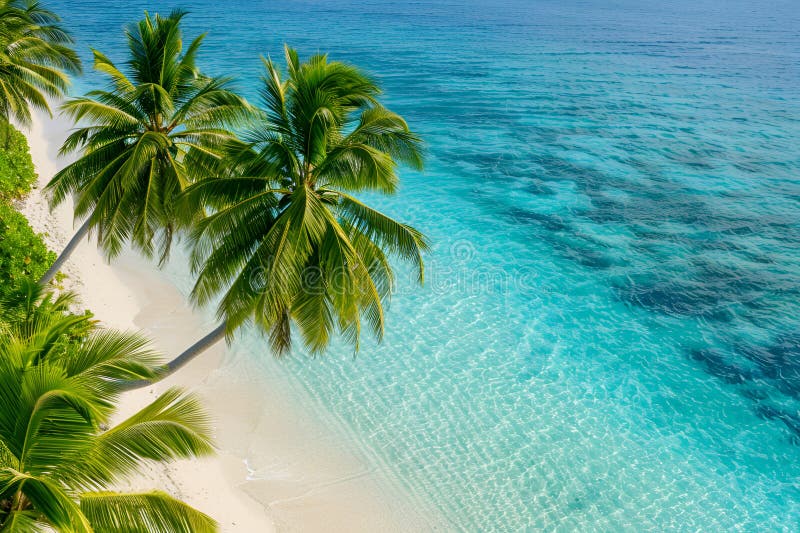 Sunny Beach in the Maldives. Palm trees, sand, sea. Landscape from a bird's eye view. Sunny Beach in the Maldives. Palm trees, sand, sea. Landscape from a bird's eye view.