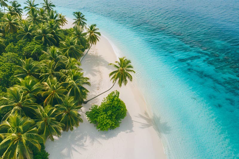 Sunny Beach in the Maldives. Palm trees, sand, sea. Landscape from a bird's eye view. Sunny Beach in the Maldives. Palm trees, sand, sea. Landscape from a bird's eye view.