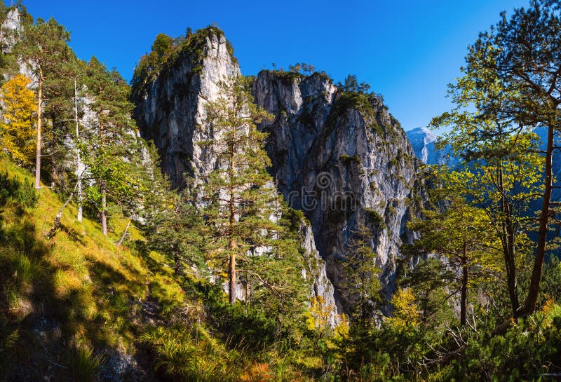 Sunny colorida escena alpina del otoño Tranquila vista de las montañas rocosas desde el sendero de senderismo, Alta Austria imagenes de archivo Sunny colorida escena alpina del otoño Tranquila vista de las montañas rocosas desde el sendero de senderismo, Alta Austria imagenes de archivo