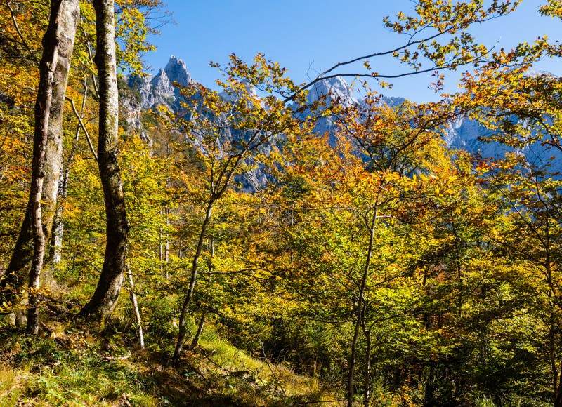 Sunny colorida escena alpina del otoño Tranquila vista de las montañas rocosas desde la ruta de senderismo cerca del lago Almsee, imagen de archivo libre de regalías Sunny colorida escena alpina del otoño Tranquila vista de las montañas rocosas desde la ruta de senderismo cerca del lago Almsee, imagen de archivo libre de regalías