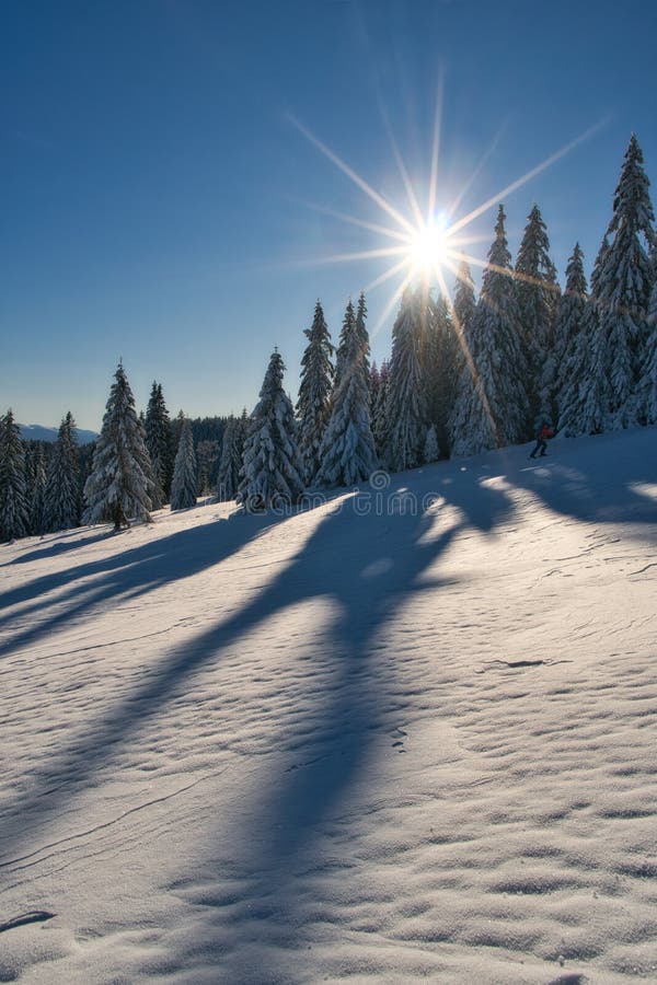 Sunny day from meadow under Dlha Luka hill on Mala Fatra mountains  near Martinske Hole