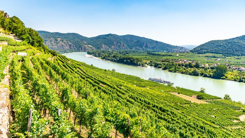 Sunny day in Wachau Valley. Landscape of vineyards and Danube River, Austria