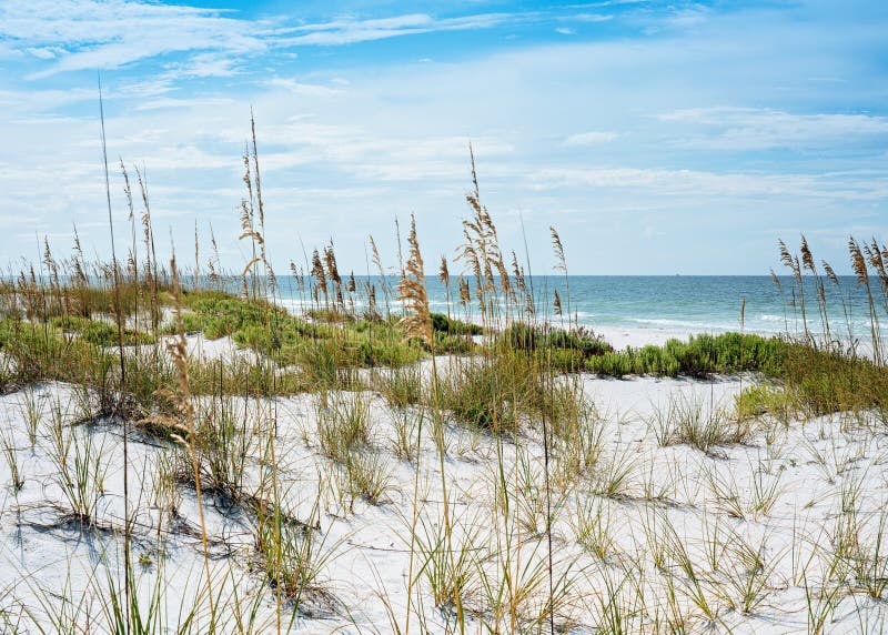 Sunny Florida Sand Dunes, Overzeese Haver en Golfzeegezicht