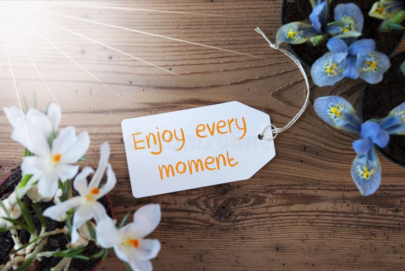 Best Enjoy Every Moment Royalty-Free Images, Stock Photos & Pictures