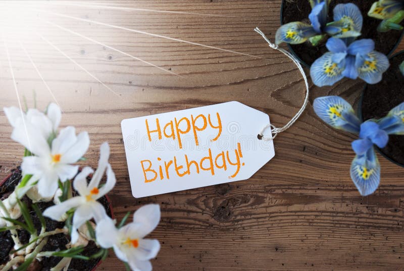 Sunny Label with Text Happy Mothers Day with Cosmea Blossoms Stock ...