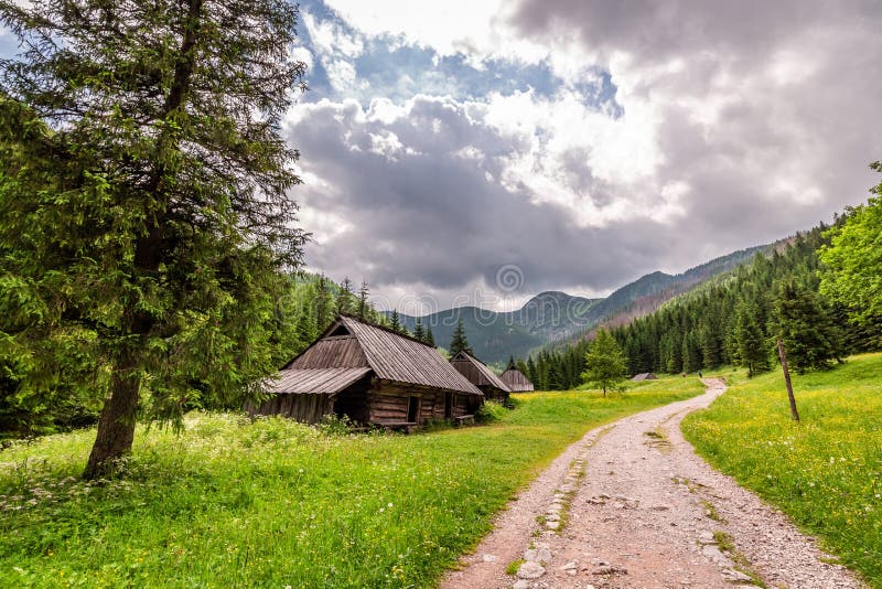 Sunny footpath in Tatras Mountains with wooden cottages, Poland