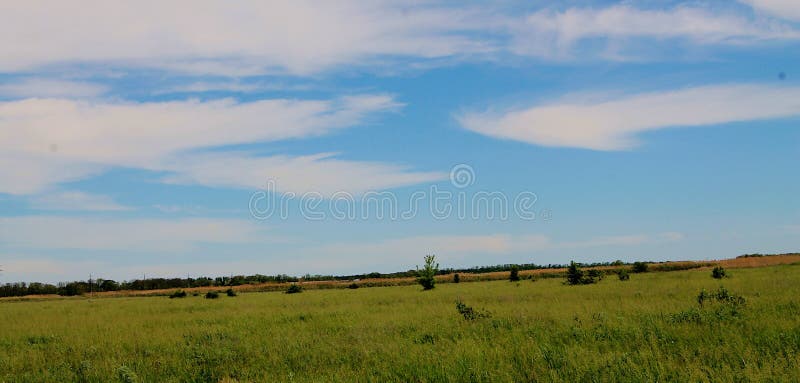 Sunny green meadow with blue sky panoramas for design and banners