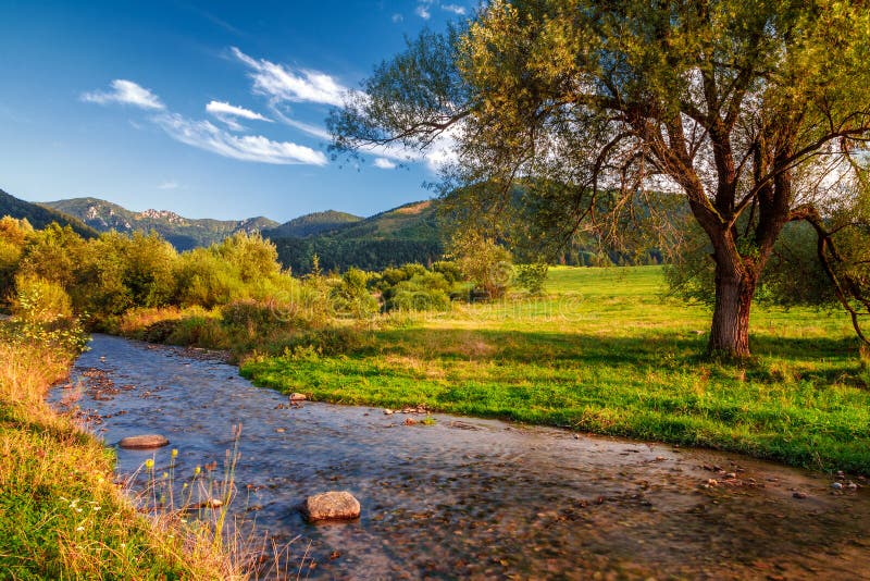 Sunny landscape with stream running from mountains.