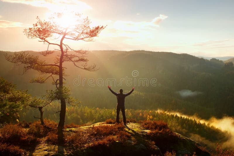 Sunny morning. Happy hiker with hands in the air stand on rock bellow pine tree. Misty and foggy morning valley. stock photos Sunny morning. Happy hiker with hands in the air stand on rock bellow pine tree. Misty and foggy morning valley. stock photos