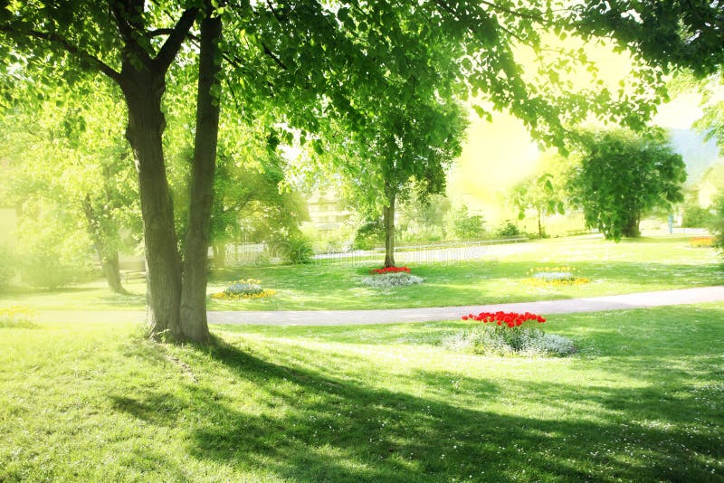 Sunny park stock image. Image of brick, color, botany 5205707